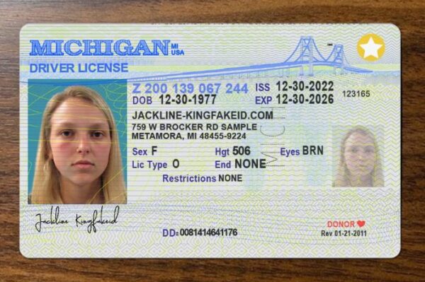 fake Michigan ID
