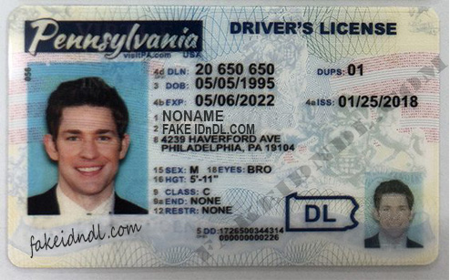 Pennsylvania Fake Driver License - KING OF DOCUMENTS